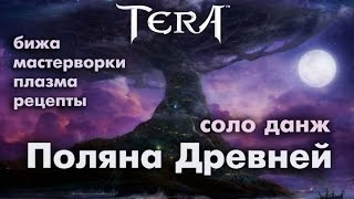 TERA online (RU) - Поляна Древней (новый вкусный соло данж)