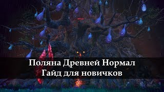 Поляна древней/Шанс Велики Tera Online Гайд новичку