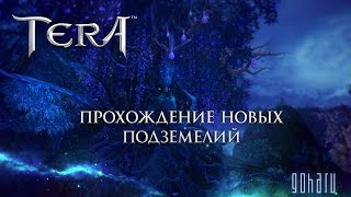 TERA - Новые подземелья