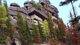 Загадочные Находки в Тайге. Тайны Древней Сибири