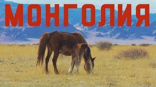 Трейлер фильма о Монголии