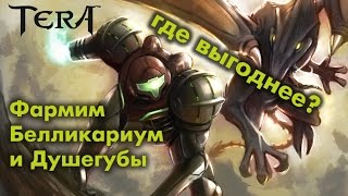 TERA online (RU) - Белликариум и Душегубы (где и сколько можно нафармить)