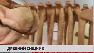 Древний хищник. Новости 30/08/2017. GuberniaTV