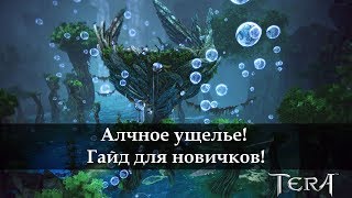 Алчное ущелье. Гайд для новичков. TERA Online 2017