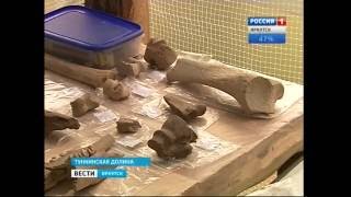 Сребки из топазов и кости древней пантеры. Уникальные находки иркутских археологов, "Вести-Иркутск"