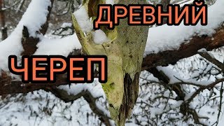 GEOCACHING.Какую тайну хранил древний череп.