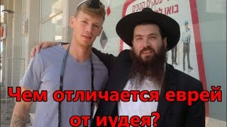 Чем отличается еврей от иудея?