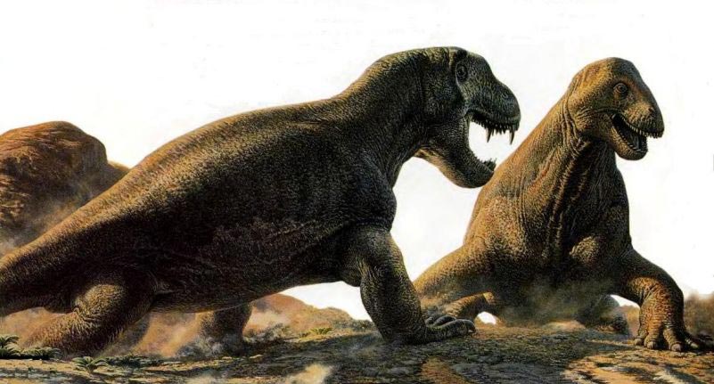 доисторические животные Мосхопс