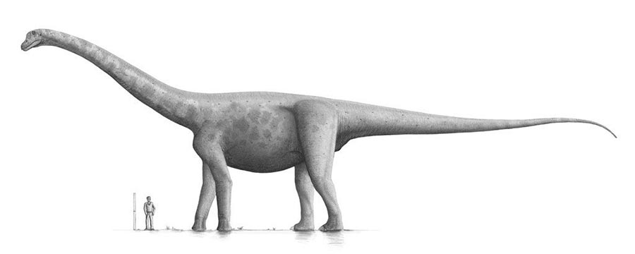 доисторические животные Брухаткайозавр