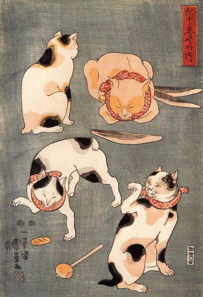«Четыре кошки в разных позах» Куниёси Утагавы.