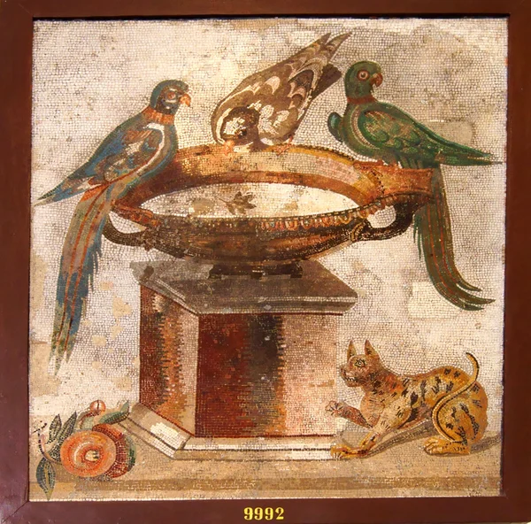 Древняя мозаика из Помпеи — стоковое фото