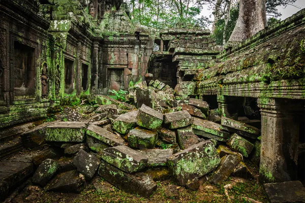 Древние руины ta храма вступления, angkor, Камбоджа Стоковое Изображение