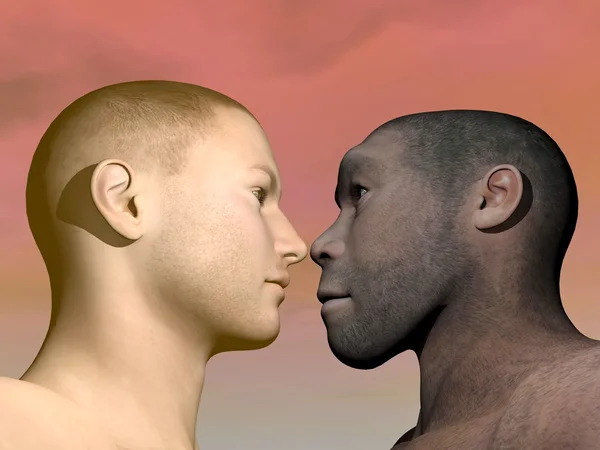 Современного человека и homo erectus - 3D визуализация Стоковое Фото