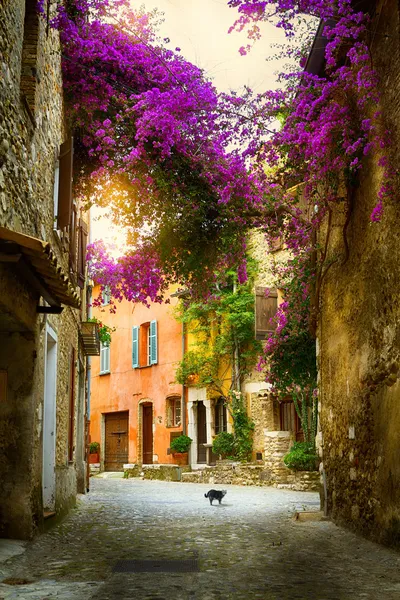 Художественный красивый старый город Прованса Стоковое Изображение