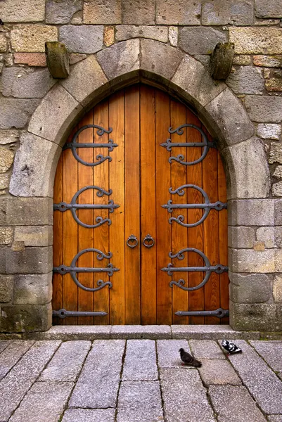 Дверь замка — стоковое фото