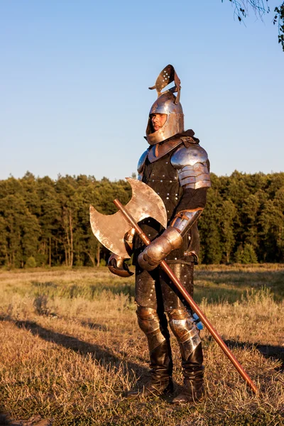 Средневековый рыцарь с топором Лицензионные Стоковые Фото