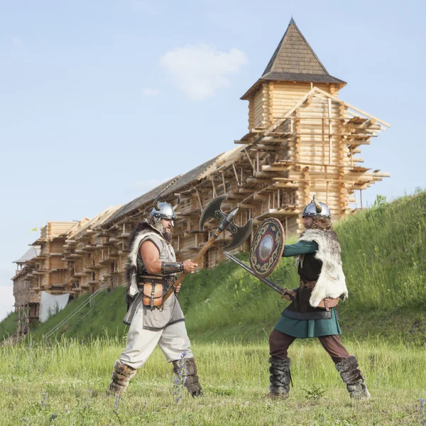 Война между викингами Лицензионные Стоковые Изображения