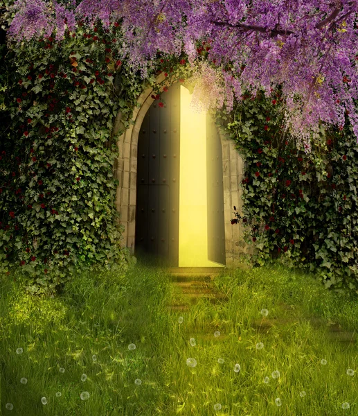 Фэнтезийная дверь Стоковая Картинка