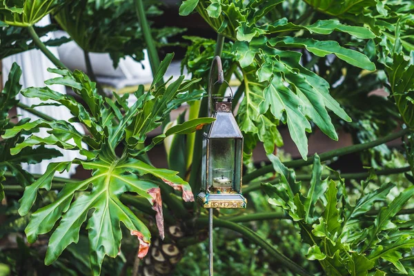 Винтажные стекла Керосиновая лампа в саду Стоковое Фото