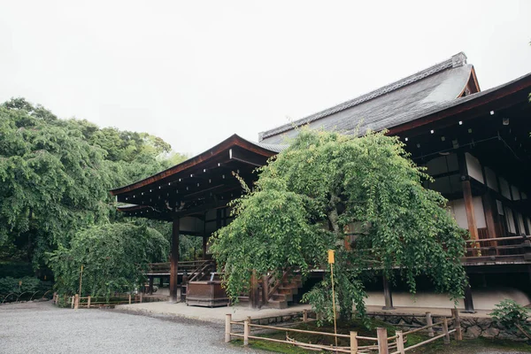 Japanese Temple Japanese Maple Tree Leaves Kyoto Vintage Film Style — стоковое фото