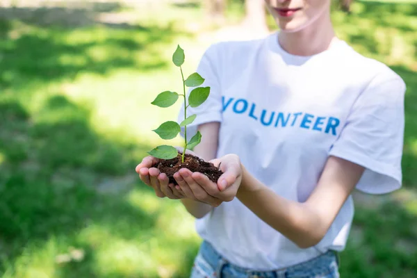 Cropped View Female Volunteer Holding Soil Sprout Hands — стоковое фото