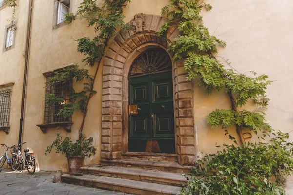 Большая Древняя Дверь Растениями Старом Городе Пиза Италия Лицензионные Стоковые Фото