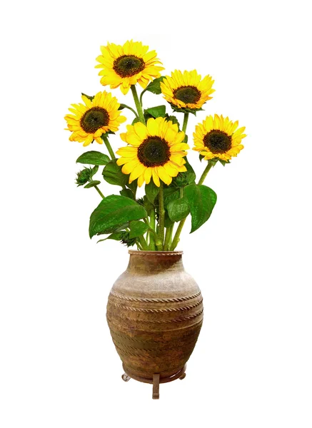 Античная ваза с подсолнухами — стоковое фото