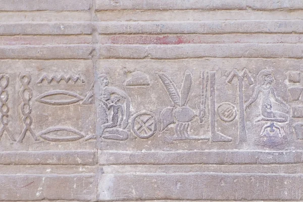 Иероглиф в храме Ком-Омбо (Египет) — стоковое фото