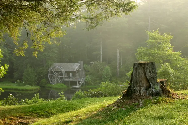 Старая мельница в лесу на рассвете — стоковое фото